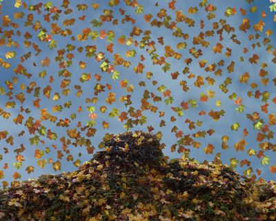 Während draußen die Blätter von den Bäumen fallen, geht es in den Messehallen derzeit trubulent zu. Die kühle Jahreszeit eignet sich besonders gut dafür, sich auf Branchentreffs informieren zu lassen und Kontakte zu knüpfen. Foto: Meinolf Wewel/Wikipedia/(cc by-sa 3.0).