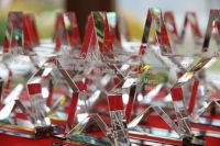 Sterne für die Stars des Partnervertriebs: Channel-Manager-Award 2013