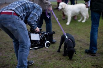 Bei Fressnapf spielen Tiere eine Hauptrolle. Daher durften auch im QSC-Imagefilm einige Hunde vor die Kamera. Foto: Kevin Kasper / QSC AG.