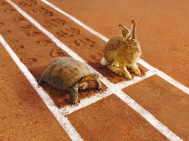 Ein Hase und eine Schildkröte warten auf einer Laufbahn auf den Startschuss für ein Wettrennen.