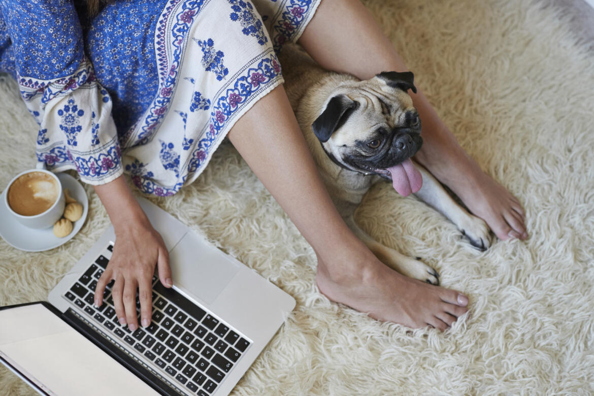 Frau sitzt mit Hund und Laptop auf dem Boden